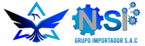 NSI Grupo Importador